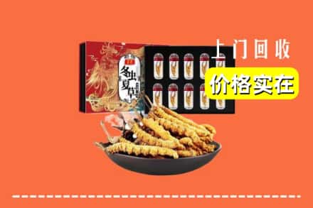 夏县回收冬虫夏草