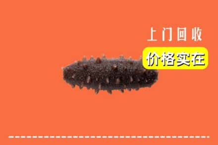夏县回收海参