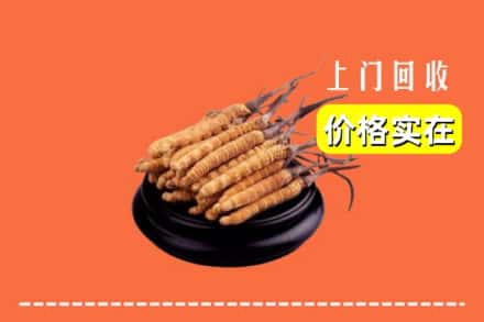 夏县回收冬虫夏草